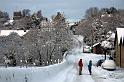 Looking up Paines Hill